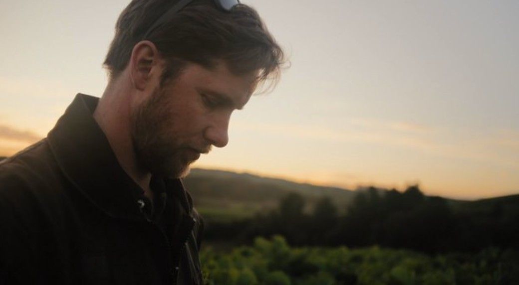 Behind the frame — Pallaton Raphno for Cussons Media / PGG Wrightson
